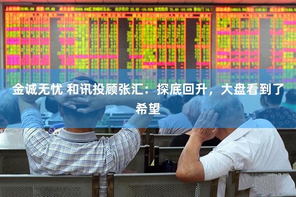 金诚无忧 和讯投顾张汇：探底回升，大盘看到了希望