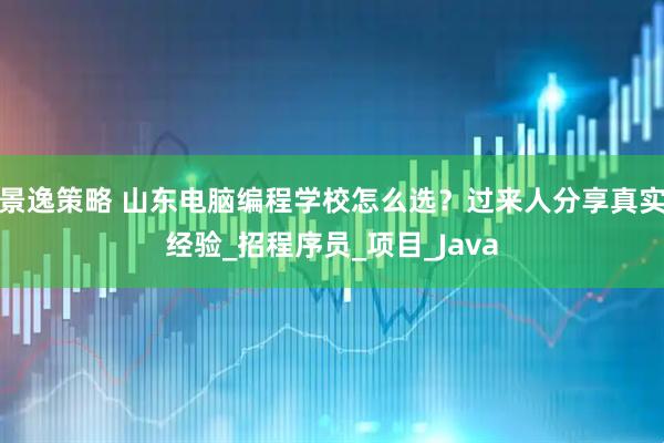 景逸策略 山东电脑编程学校怎么选？过来人分享真实经验_招程序员_项目_Java
