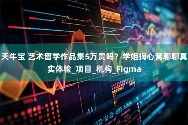 天牛宝 艺术留学作品集5万贵吗？学姐掏心窝聊聊真实体验_项目_机构_Figma