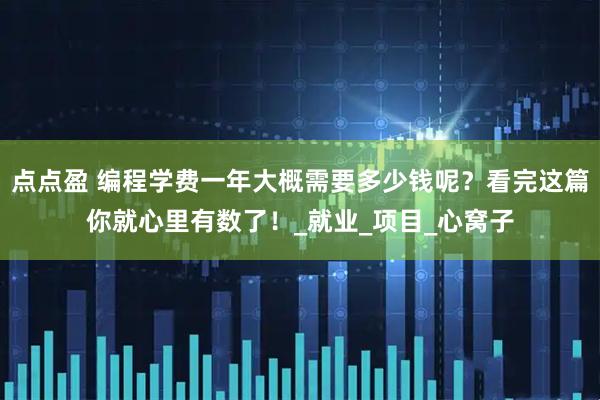 点点盈 编程学费一年大概需要多少钱呢？看完这篇你就心里有数了！_就业_项目_心窝子