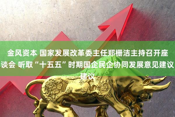 金风资本 国家发展改革委主任郑栅洁主持召开座谈会 听取“十五五”时期国企民企协同发展意见建议
